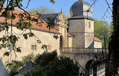 Blick auf den Schlosseingang in Weikersheim an einem sonnigen Tag. Das Bild ist umrahmt von einem von Zweigen durchzogenen Torbogen.