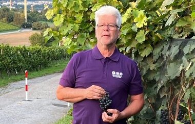Weinerlebnisführer Klaus P. Weibler steht im Weinberg neben Weinreben mit Weintrauben in der Hand | © Touristikgemeinschaft Hohenlohe e.V. | Klaus P. Weibler