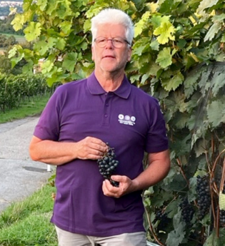 Weinerlebnisführer Klaus P. Weibler mit Weintrauben in der Hand | © Touristikgemeinschaft Hohenlohe e.V. | Klaus P. Weibler