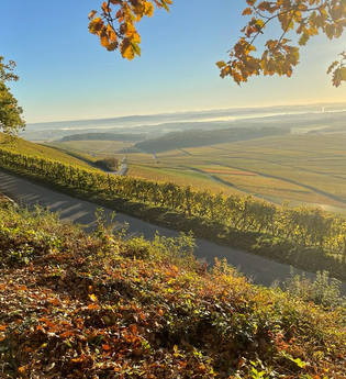 Waldschenke Hörnle - Wein- und Biergarten | © Waldschenke Hörnle | Jürgen Hönnige