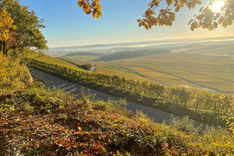 Waldschenke Hörnle - Wein- und Biergarten | © Waldschenke Hörnle | Jürgen Hönnige