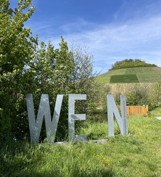 WEIN-Fotospot Mönchsbergsee | © Stadt Brackenheim | CP