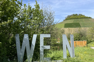 WEIN-Fotospot Mönchsbergsee | © Stadt Brackenheim | CP