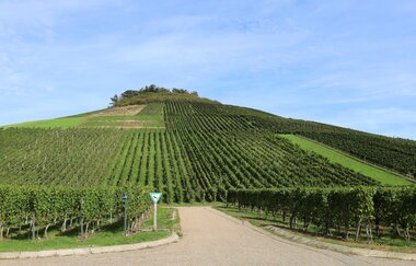 WEIN-Fotospot Mönchsbergsee | © Stadt Brackenheim | CP