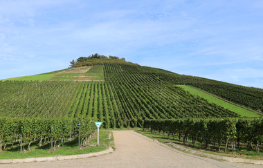 WEIN-Fotospot Mönchsbergsee | © Stadt Brackenheim | CP