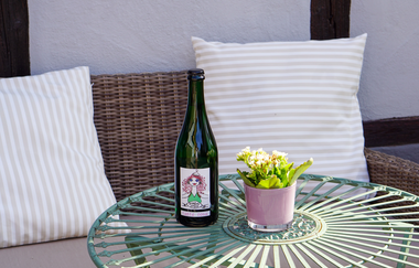 wein & gut frank | Privatweingut in Brackenheim-Botenheim | © Neckar-Zaber-Tourismus e.V.