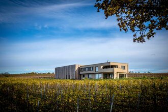 Weingut | Wein und Sektgut Hirschmüller | Lauffen | © NZT