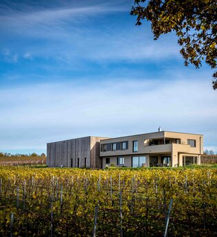 Weingut | Wein und Sektgut Hirschmüller | Lauffen | © NZT