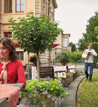 In der linken Hälfte sitzt eine Frau mit einem Weinglas in der Hand an einem gedeckten Tisch. In der rechten Hälfte läuft eine Person auf einer Gras bewachsenen Fläche, zwischen kleinen Bäumen, mit einem Weinkarton in der Hand.