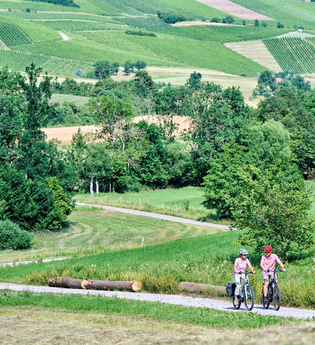 Radfahrer fahren auf einem Weg entlang | © Touristikgemeinschaft Hohenlohe e. V. | Florian Trykowski