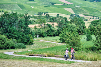 Radfahrer fahren auf einem Weg entlang | © Touristikgemeinschaft Hohenlohe e. V. | Florian Trykowski