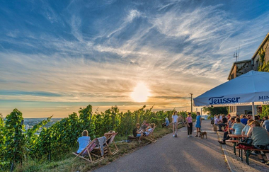 Martin Heinrich Wengerthäusle - Weinausschank am Wartberg Heilbronn