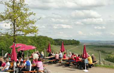 Weinausschank im Zweifelberg