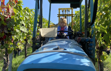 Familie Holzapfel des Weinguts Holzapfel | Neckarsulm | HeilbronnerLand | © Weinausschank Weingut Holzapfel