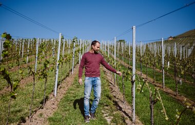 Familie Holzapfel des Weinguts Holzapfel | Neckarsulm | HeilbronnerLand | © Weinausschank Weingut Holzapfel