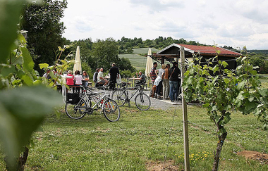 Weinausschank umgeben von Weinbergen | Flein | HeilbronnerLand
