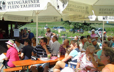 Sonniges Wetter & viele Besucher am Weinausschank | Flein | HeilbronnerLand