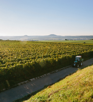 Ilsfelder Rappen mit Blick Richtung Abstatt und Helfenberg | Ilsfeld | Heilbronner Land | © Golter -Weingut im Klee GbR