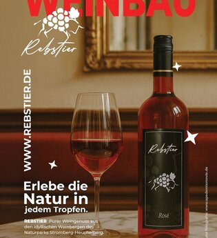 Weinbau Rebstier Knittlingen | © Apedemiemovie