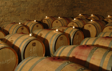 Weinbau Pavillon | Gundelsheim | HeilbronnerLand | © Weinbau Pavillon GmbH