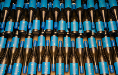 Weinbau Pavillon | Gundelsheim | HeilbronnerLand | © Weinbau Pavillon GmbH