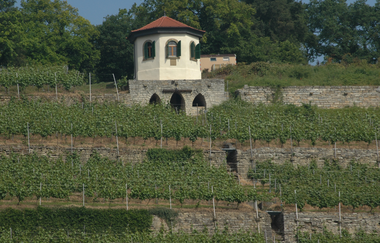 Weinbau Pavillon | Gundelsheim | HeilbronnerLand | © Weinbau Pavillon GmbH