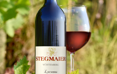 Weinbau Stegmaier | Wein-Obst-Destillate | Weinsberg | Gellmersbach | © Tourismus im Weinsberger Tal e.V.