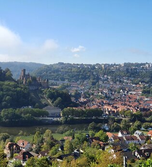 Weinberg Kaffelstein | © TOURISMUS REGION WERTHEIM GmbH