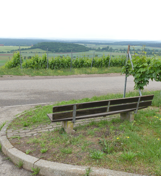 Weinberg "Röschen" Hohenhaslach | © Stadt Sachsenheim