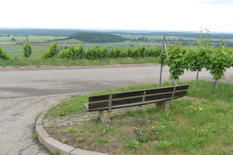 Weinberg "Röschen" Hohenhaslach | © Stadt Sachsenheim
