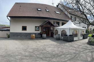 Außenbereich Weingut Härle | Abstatt| HeilbronnerLand | © Weingut Härle