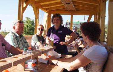 Weinbergrundfahrten Hoffmann | Planwagen- und Weinbergrundfahrten | HeilbronnerLand | © Winzerhof am Schlierbach