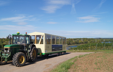 Weinbergrundfahrten Hoffmann | Planwagen- und Weinbergrundfahrten | Obersulm | © Winzerhof am Schlierbach