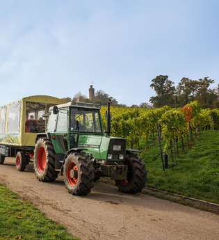 Planwagenfahrt Wengert-Schleicher | Schwaigern | HeilbronnerLand | © Heuchelberger Weingärtner