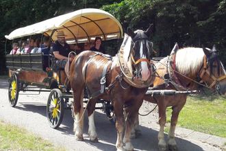 Mit der Kutsche zur Weinerlebnistour "Mit 2 PS durchs Himmelreich" | © Touristikgemeinschaft Hohenlohe e. V. |  Wein & Bett Weihbrecht