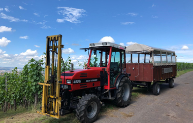 Weinbergrundfahrten mit Weinprobe | Weingut Alexander Bauer | Heilbronn | HeilbronnerLand | © Weingut - Besenwirtschaft - Gästehaus Bauer