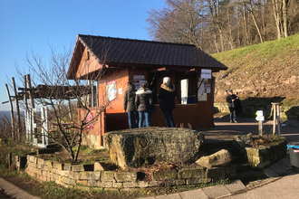 Weinausschank in den Weinbergen am Zweifelberg | Weingärtner Stromberg-Zabergäu | Brackenheim | HeilbronnerLand | © Weingärtner Stromberg-Zabergäu