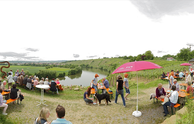 Weinterrasse Kirchheim | Weingärtner Stromberg-Zabergäu | HeilbronnerLand | © Weingärtner Stromberg-Zabergäu
