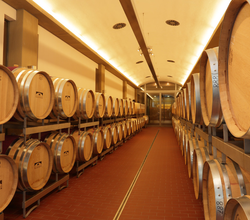 Führung der durch den Weinkeller der Weingärtner Stromberg-Zabergäu | Brackenheim | HeilbronnerLand | © Weingärtner Stromberg-Zabergäu eG