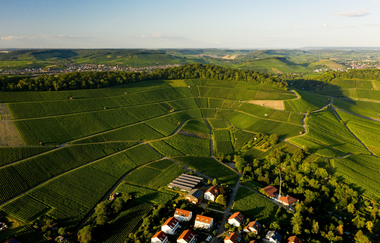 Weingut Albrecht-Kiessling | Heilbronn | HeilbronnerLand | © Weingut Albrecht-Kiessling