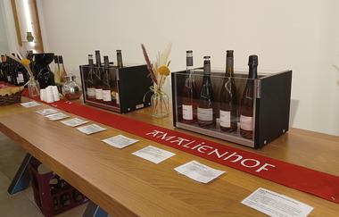 Weingut Amalienhof | © Weingut Amalienhof