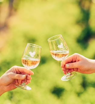 HeilbronnerLand ist Weinland | Weinsüden Baden-Württemberg | © Touristikgemeinschaft HeilbronnerLand e.V.