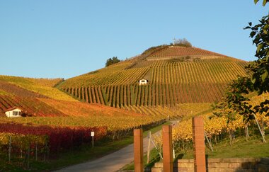 Weingut Bauer 1736 | © Touristikgemeinschaft HeilbronnerLand e.V.