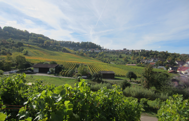 Weinberge Weingut Bihlmayer | Löwenstein | HeilbronnerLand | © Weingut Bihlmayer
