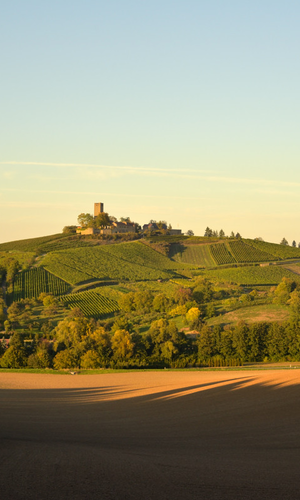 © Heitlinger Genusswelten