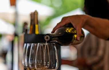 Weingut Dautel - Raum für Ideen, Ort für Erlebnisse.