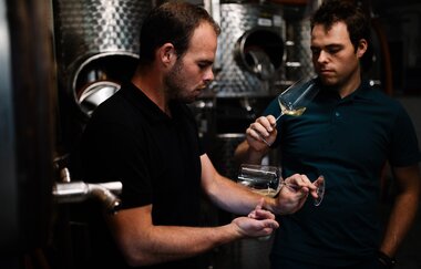 Weingut Ehrlenbach | © Weingut Ehrlenbach