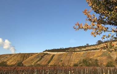 Weingut Eisele | © Weingut Eisele