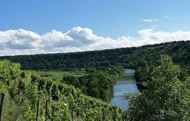 Weingut Eisele | © Weingut Eisele