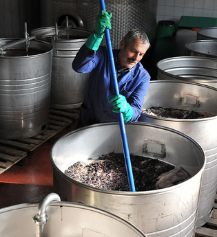 Weingut und Gästehaus Erich Hirth | Obersulm-Willsbach | Weinsberger Tal | © Tourismus im Weinsberger Tal e.V.